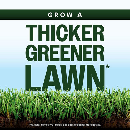 Scotts Kentucky 31 Grass Seed Mix for New Lawns or Overseeding, Grows Thicker and Greener vs. Other