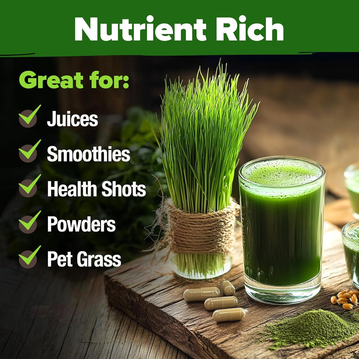 HOME GROWN 12,000+ Wheatgrass Seeds Bulk Pack(1.5 lb) 𝗡𝗢𝗡-𝗚𝗠𝗢 𝗨𝗦𝗔 Hard Red Winter