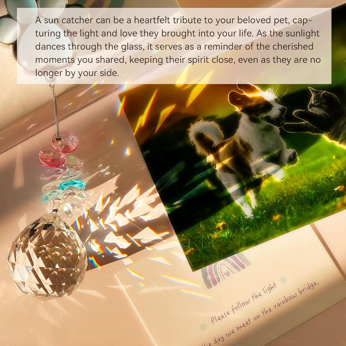 Pet Memorial Suncatcher - Dog Paw Memorial Gifts, Pet Loss Crystal Prisms Rainbow Maker, Lost of
