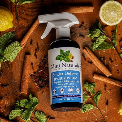 Spider Defense – Natural Spider Repellent Indoor & Outdoor, Peppermint Oil Spray for Home, Cabins
