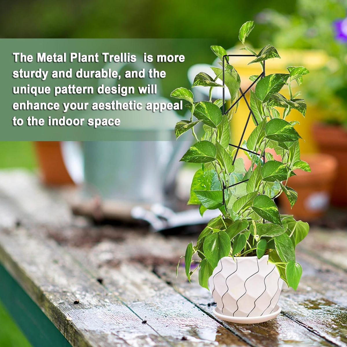 17.5 Inch Indoor Plant Trellis for Climbing Plants,Metal Trellis,Small Garden Trellis for Potted