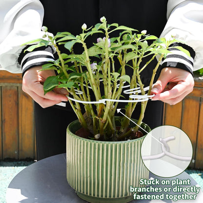 White Monstera Plant Stem Support - 5PCS 7.3x6.25in Durable Adjustable Garden Stake for Indoor
