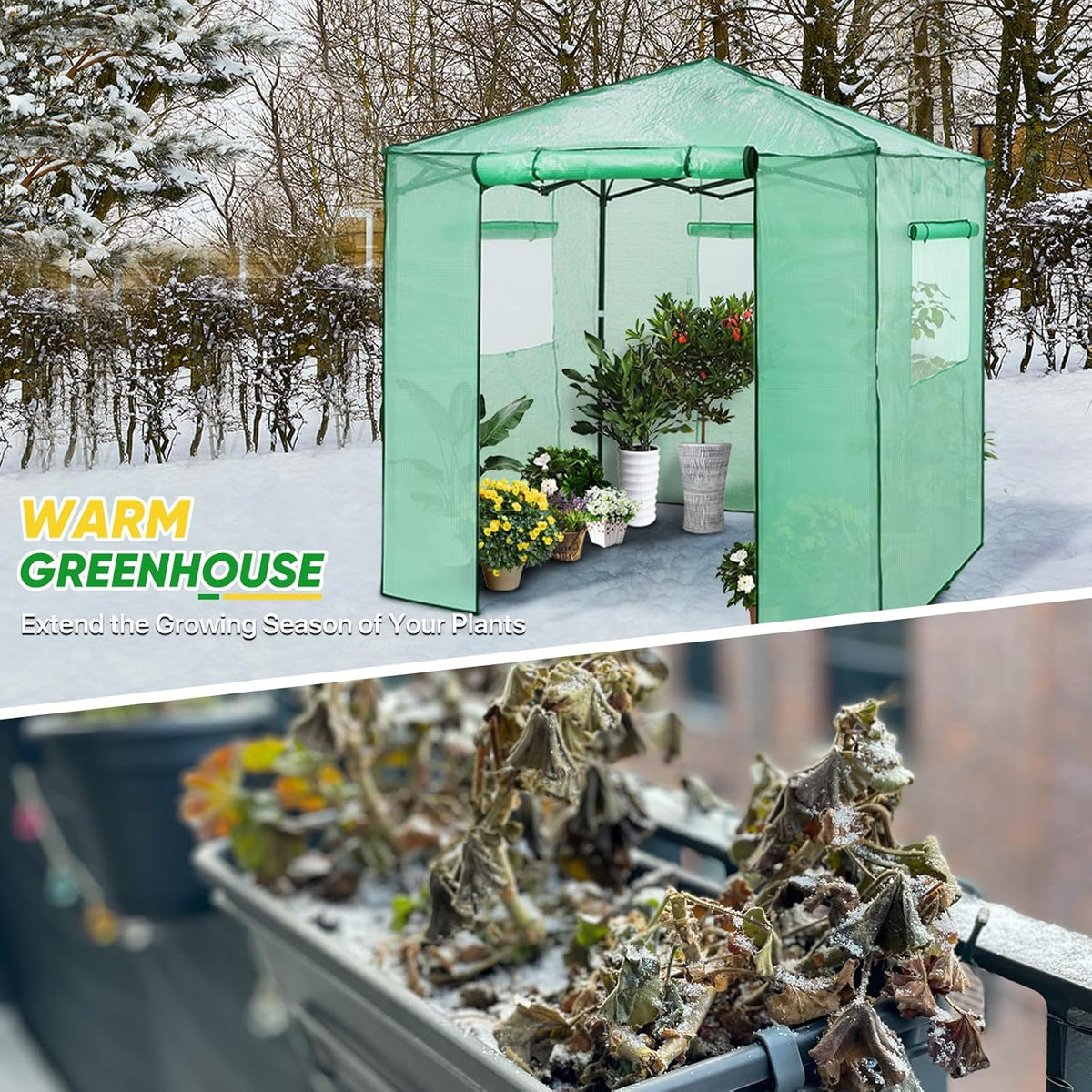EAGLE PEAK 7x7 Pop up Greenhouse Portable Walk-in Outdoor Gardening Green House with 2 Foldable