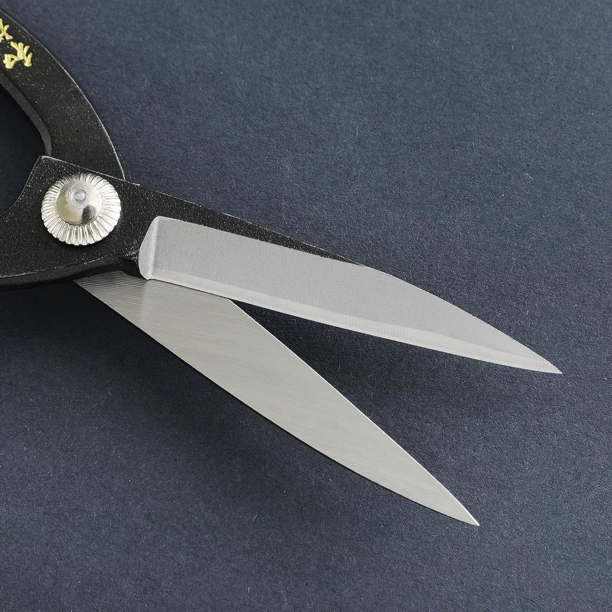 Wazakura Yasugi Steel Made in Japan Ashinaga Bonsai Scissors 8.2 in (210 mm), Bonsai Tree Pruning