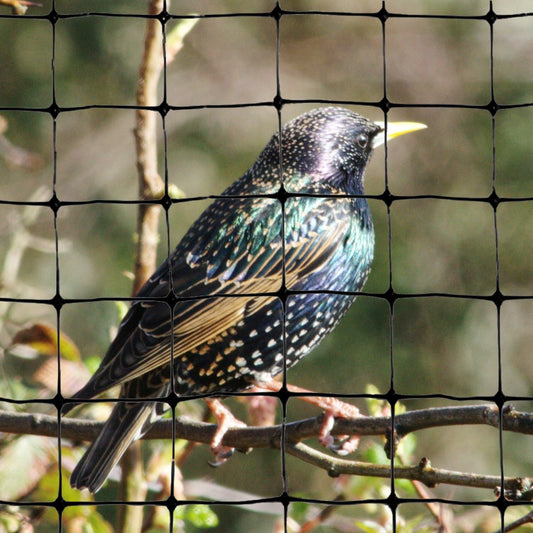 Bird-X Standard Bird Netting, Ideal for Gardens and Lightweight Applications, UV-Stabilized Mesh