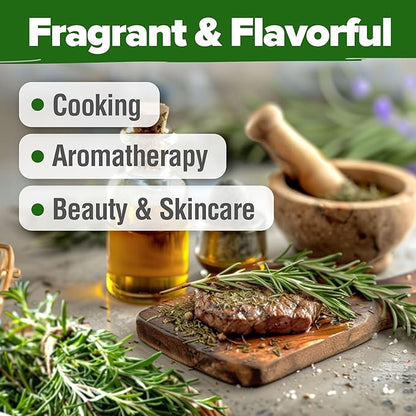 HOME GROWN 𝗨𝗦𝗔 𝗣𝗥𝗘𝗠𝗜𝗨𝗠 Rosemary Seeds Pack - 150 High Germinating 𝗡𝗢𝗡-𝗚𝗠𝗢 Heirloom