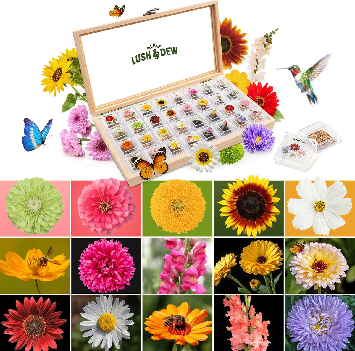 LUSH&DEW Cut Flower Seed Bank, Gift for Women Men, 32 Types Non-GMO Annual & Perennial Wildflower