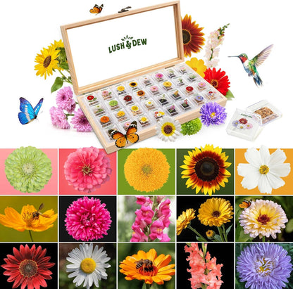 LUSH&DEW Cut Flower Seed Bank, Gift for Women Men, 32 Types Non-GMO Annual & Perennial Wildflower