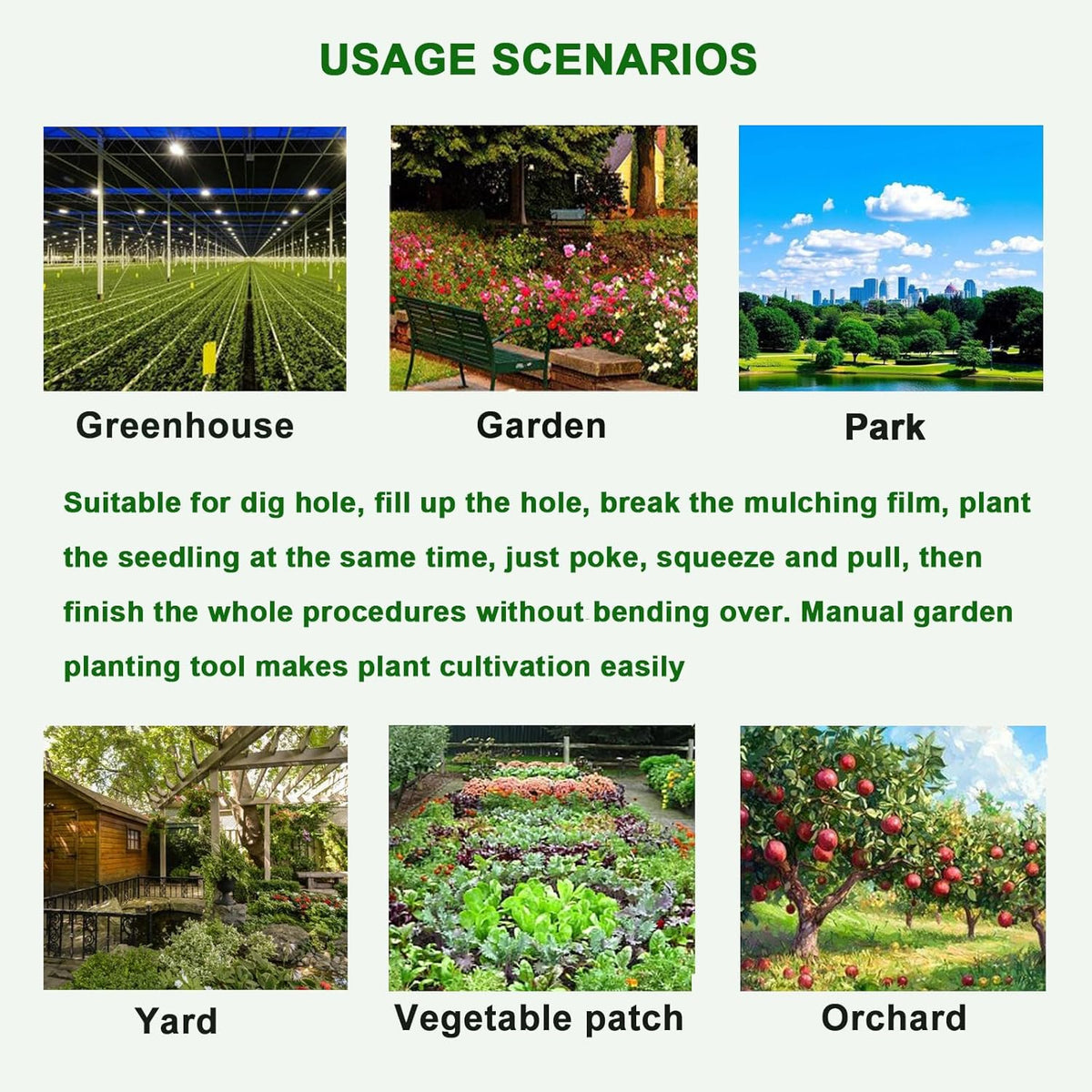 Seedling Transplanting Bulb Planter Tool Long Handle, Vegetable Young Plant Manual Plant