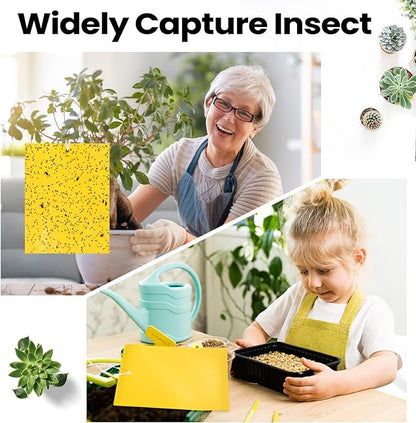Qualirey 200 Pcs 6 x 8 Inch Sticky Traps for Gnats Dual Sided Fruit Fly Sticky Traps for Indoor and