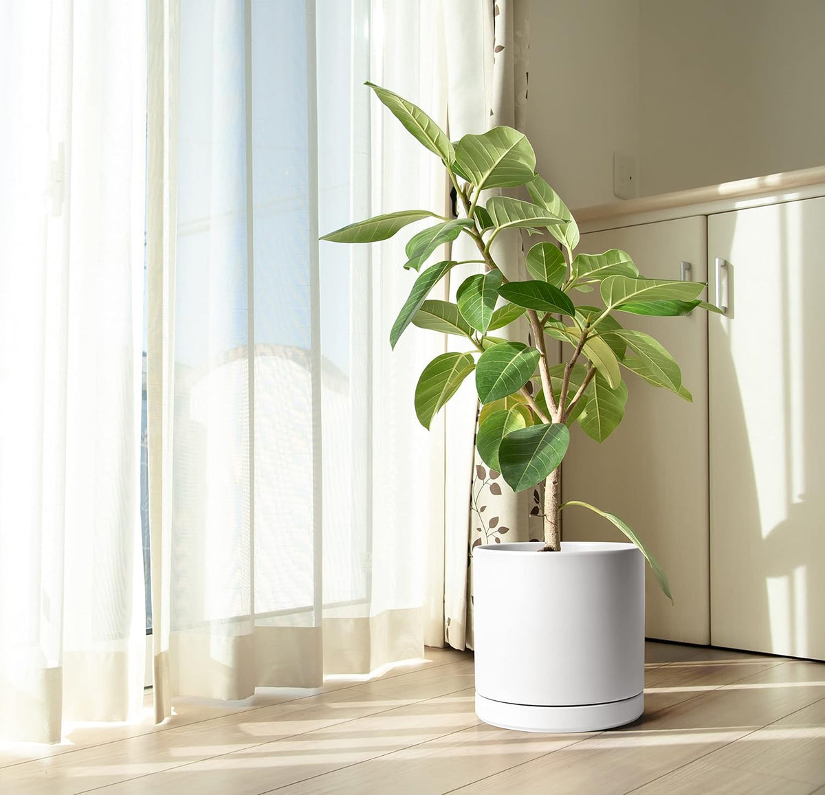 D'vine Dev 12 Inch Ceramic Planter Pot with Drainage Hole and Saucer, Indoor Cylinder Round Planter