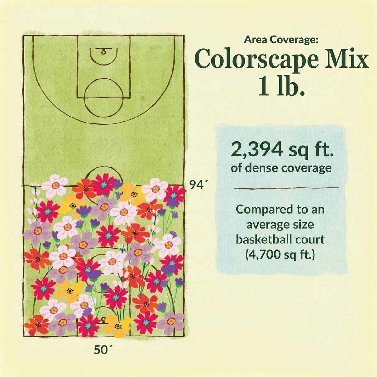 Ferry-Morse Colorscape Mix Bulk Flower Seeds, 1lb