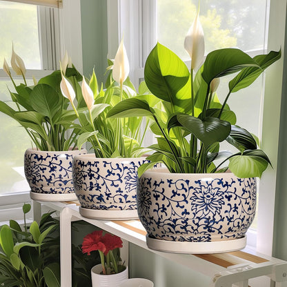 SQOWL Ceramic Flower Pots - 6 Inch Plant Pot Indoor with Drainage Hole and Saucer, Porcelain