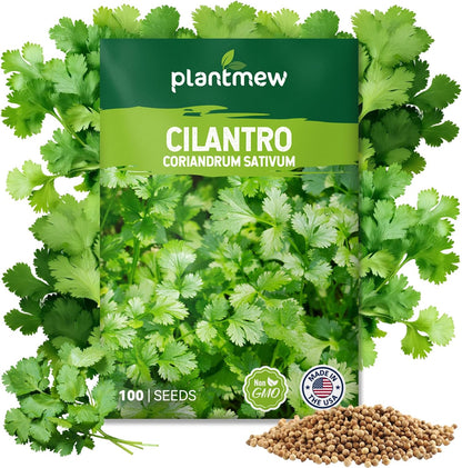 Cilantro Seeds 1 Pack