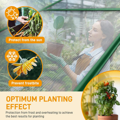 VINGLI 6x10 FT Greenhouse for Outdoors, Twin-Wall Translucent Heavy Duty Polycarbonate Greenhouse