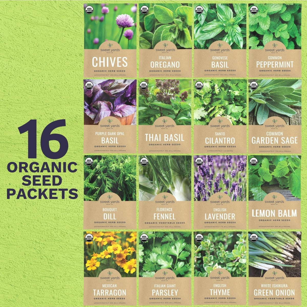 Organic Herb Seeds Variety Pack - 16 Individual Packs - 2025 Season - Basil, Cilantro, Dill, Thyme