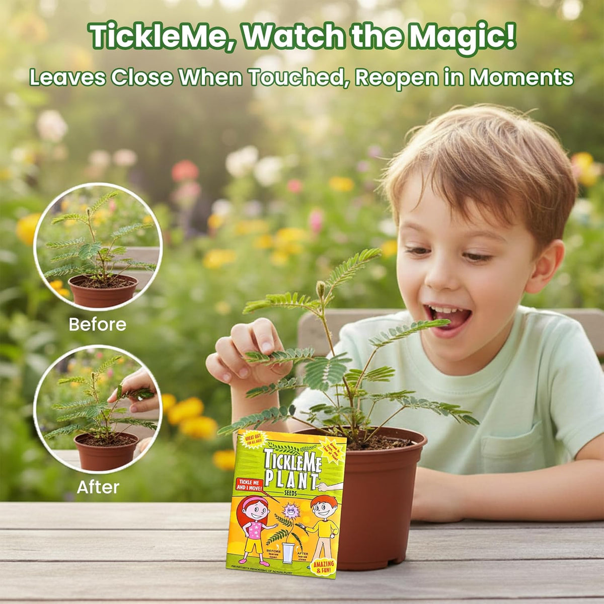 TickleMe Plant Birthday Party Favors (Pack of 2) | Leaves Fold When You Tickle It, Reopen in