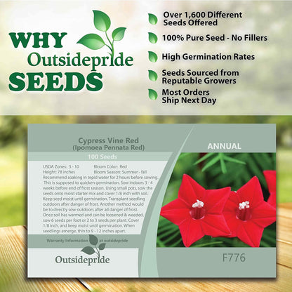 Outsidepride Red Cypress Vine Seeds - 200 Pcs Annual Flower Seeds with Nectar-Rich, Star-Shaped