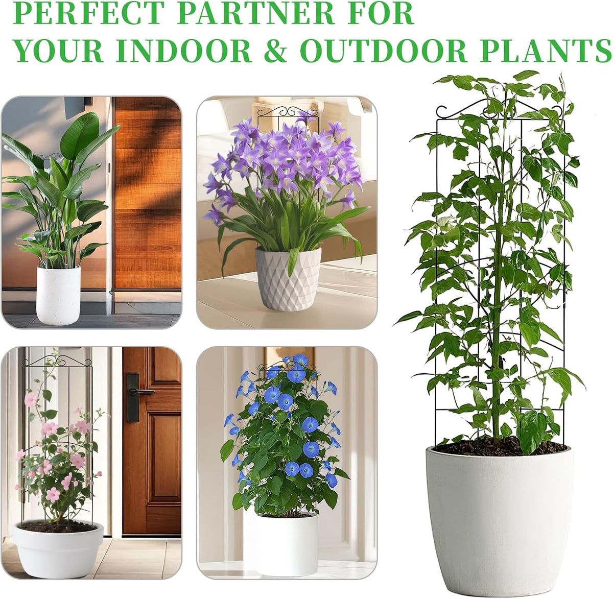 32 Inch Metal Plant Trellis for Climbing Plants Outdoor，4 Pack Garden Trellis for Potted Climbing