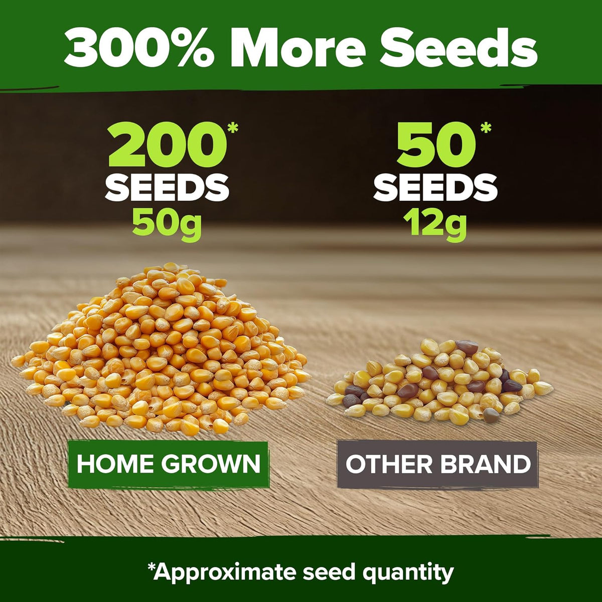 HOME GROWN Golden Bantam Corn 2 Pack – 200 𝗡𝗢𝗡-𝗚𝗠𝗢 𝗨𝗦𝗔 Heirloom Vegetable Seeds – Grow