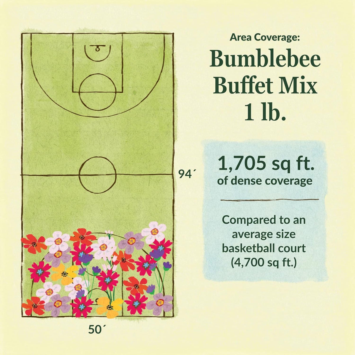 Ferry-Morse Bumblebee Buffet Mix Bulk Flower Seeds, 1lb