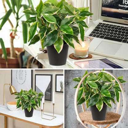 Artificial Plants Indoor Small Fake Plants in Pots Faux Pothos N‘ Joy Potted Plant Fake Indoor