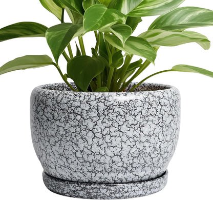 SQOWL 8 inch Plant Pot - Ceramic Planter with Drainage Hole and Saucer, Round Flower Pot for Indoor