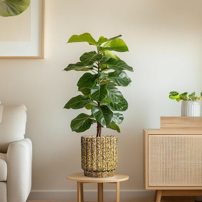 Ceramic Planter - 7.6 Inch Ceramic Plant Pots Indoor, Round Flower Pots with Drainage Hole, Fluted