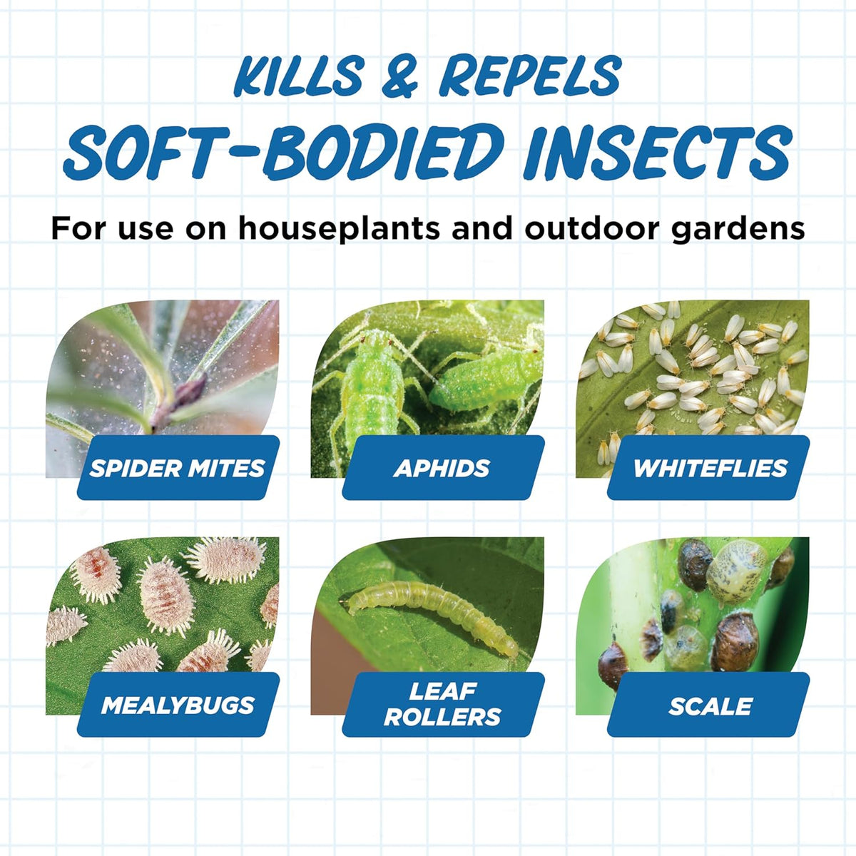 Earth's Ally Insect Control for Plants Ready-to-Use 24 oz | Safe Outdoor & Indoor Plant