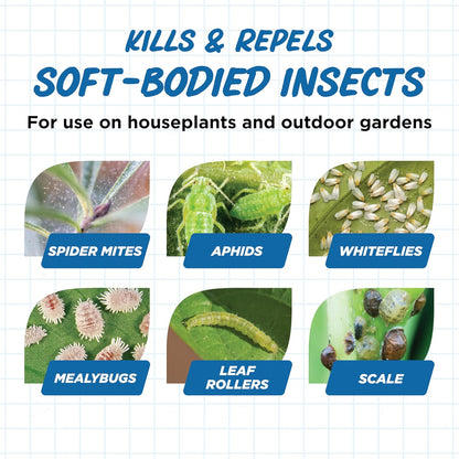 Earth's Ally Insect Control for Plants Ready-to-Use 24 oz | Safe Outdoor & Indoor Plant