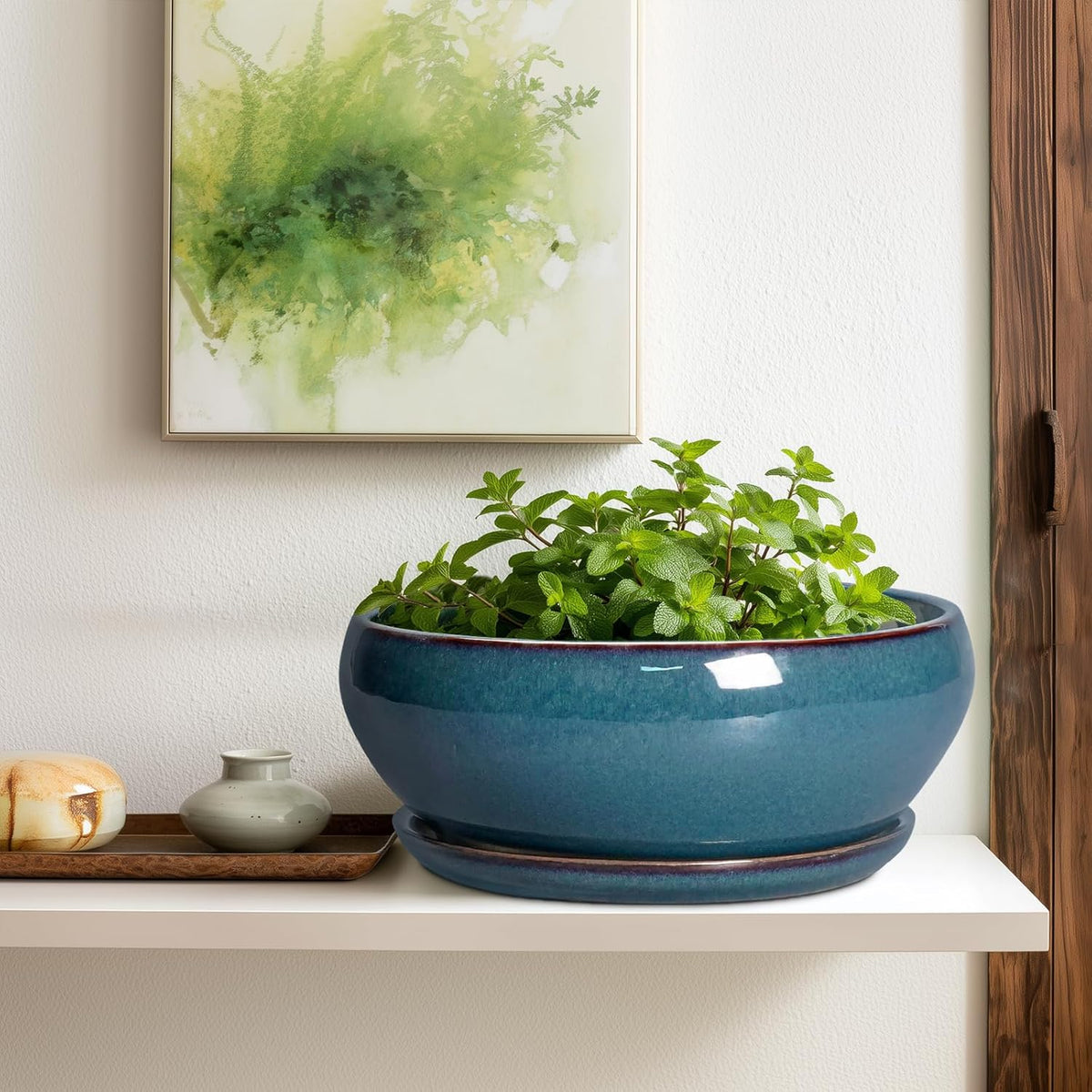 SQOWL Bonsai Tree Pots - 12 Inch Ceramic Succulent Pots, Large Shallow Planter with Drainage Hole