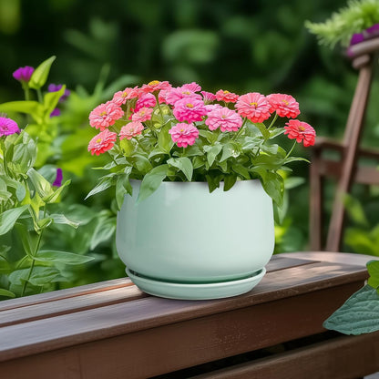 G EPGardening Ceramic Plant Pots - 6 Inch Pot for Plants, Ceramic Planter with Drainage and Saucer
