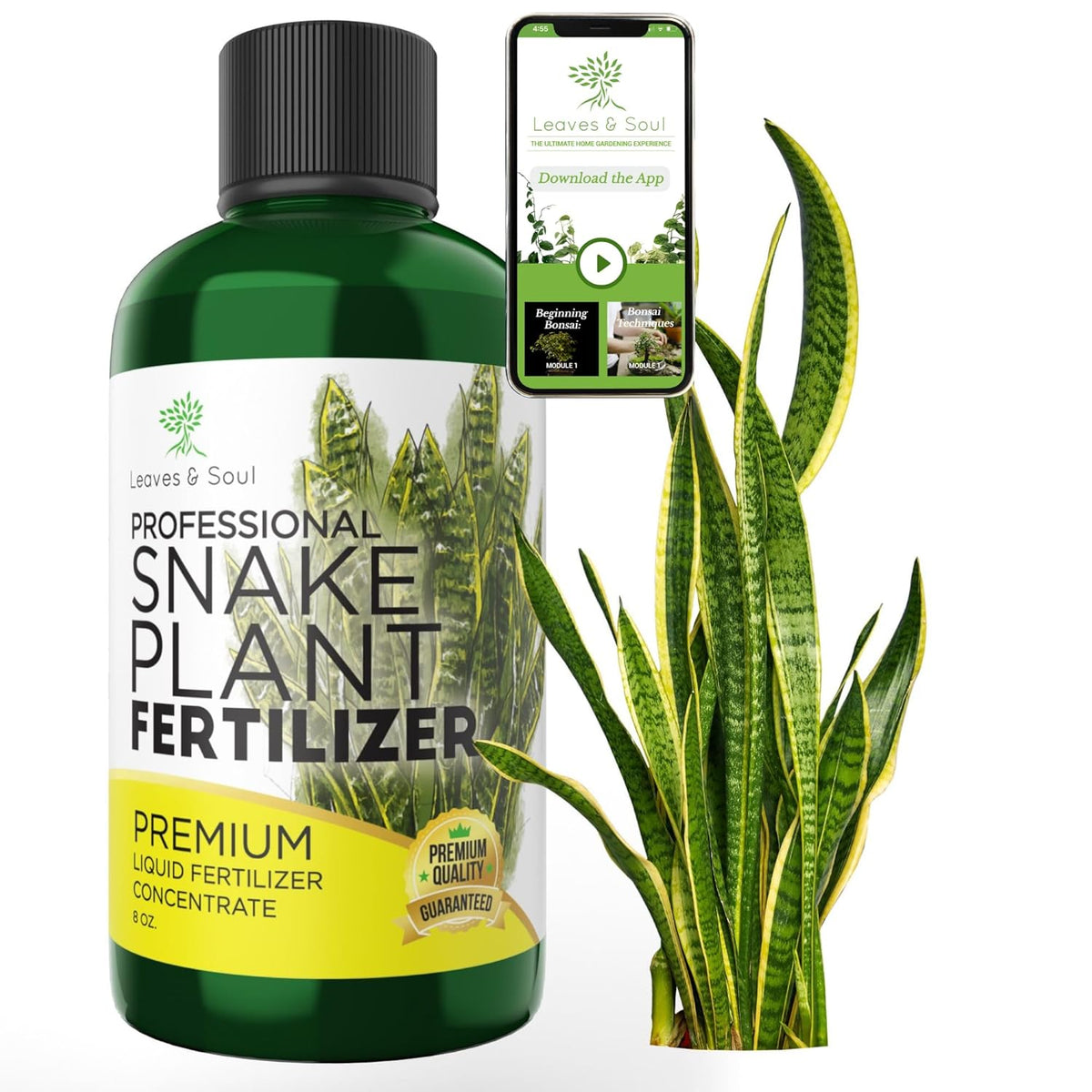 Professional Liquid Snake Plant Fertilizer | 3-1-2 Concentrate for Plants and Flowers |