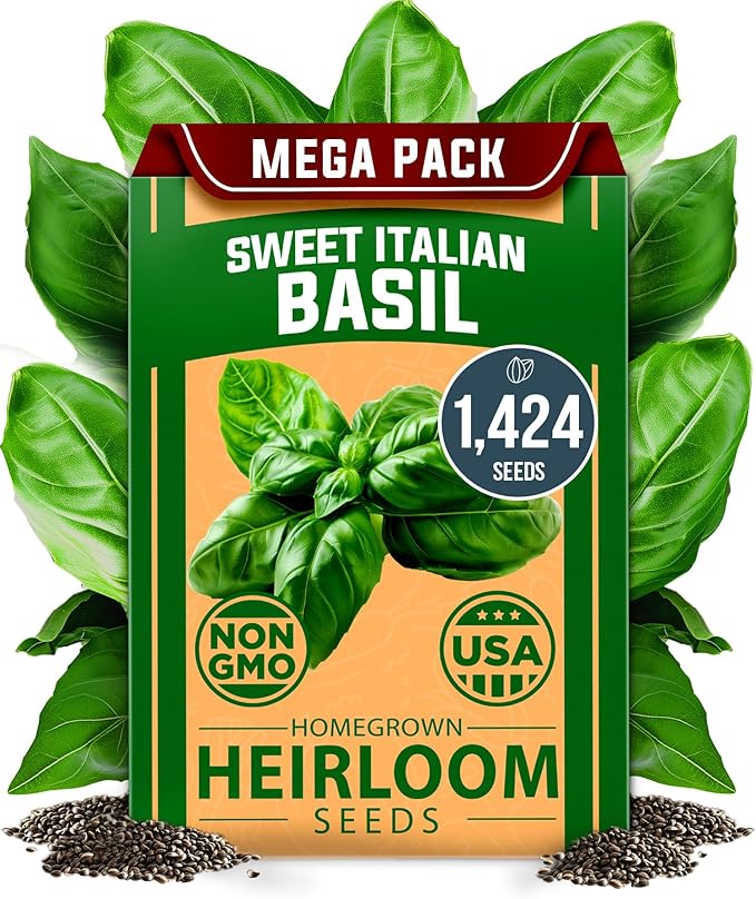 HOME GROWN 𝗨𝗦𝗔 𝗣𝗥𝗘𝗠𝗜𝗨𝗠 Italian Basil Seeds Bulk Pack 1,424 Sweet Large Leaf Basil Seeds