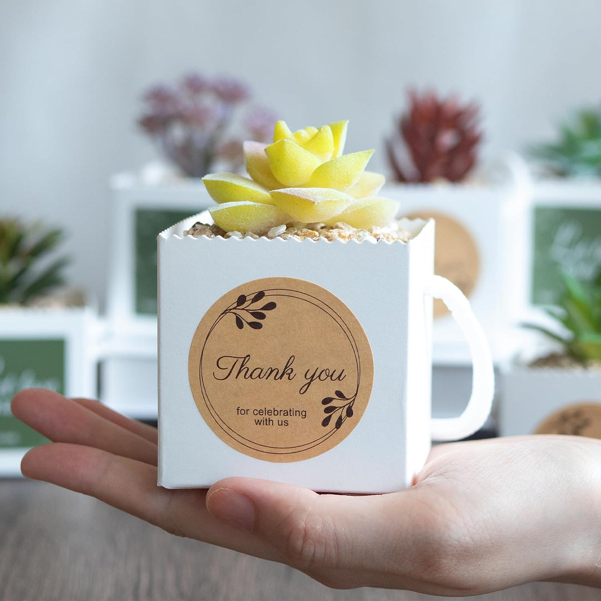 Temlum 2.5 Inch Succulent Wrap Bags (Fits 2.5″ Pots) with Thank You & Let Love Grow Stickers