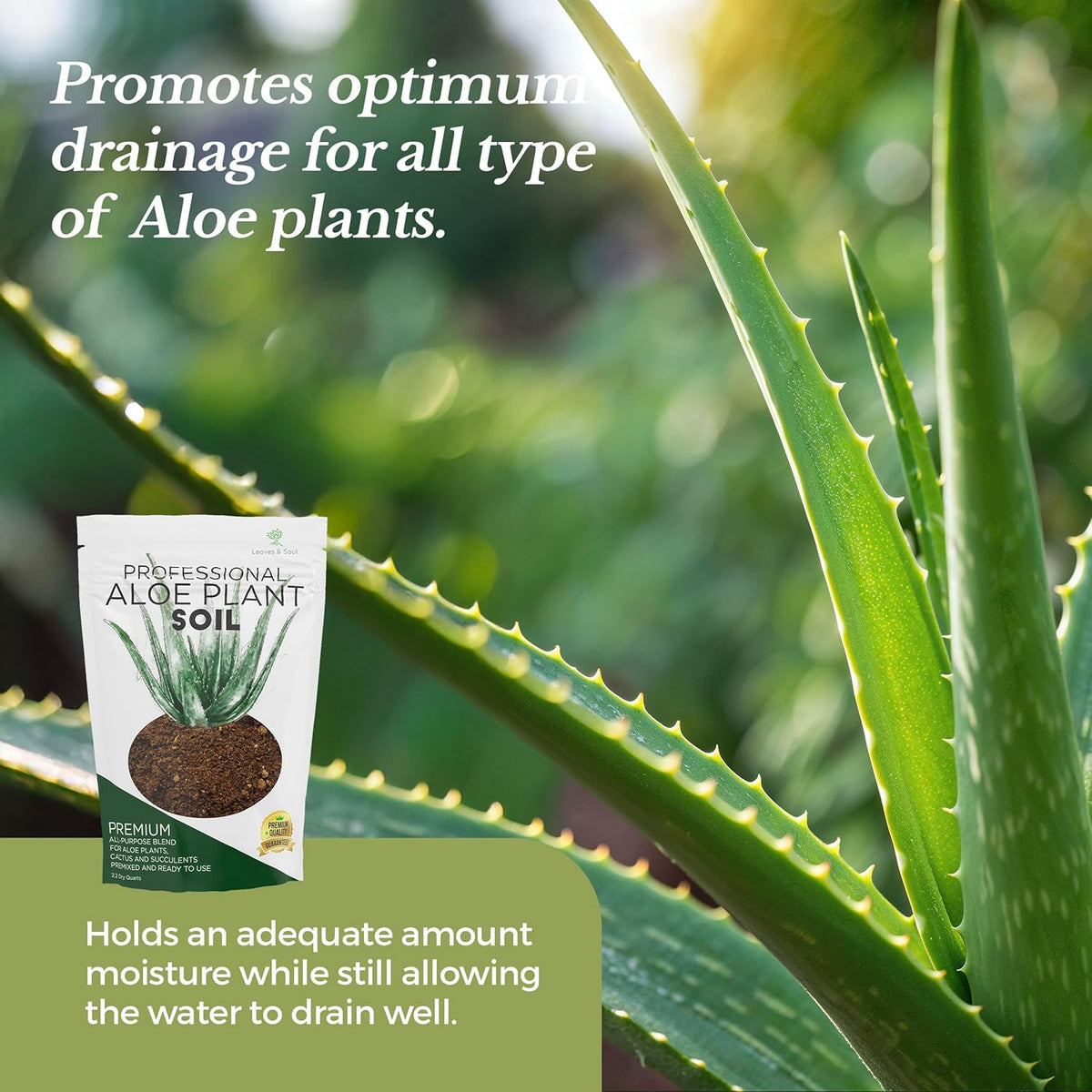 Professional Aloe Plant Soil | Premium All Purpose Blend | Large 2.2 Quarts | Ready to Use for