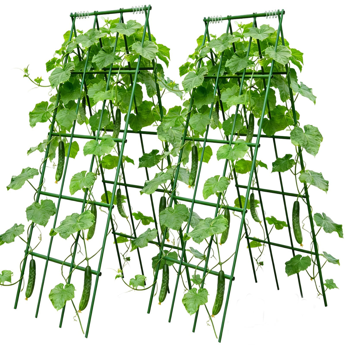 Heavy Duty Cucumber Trellis,2 Pack,No AssemblyGarden Trellis for Climbing Plants Outdoor,Cucumber