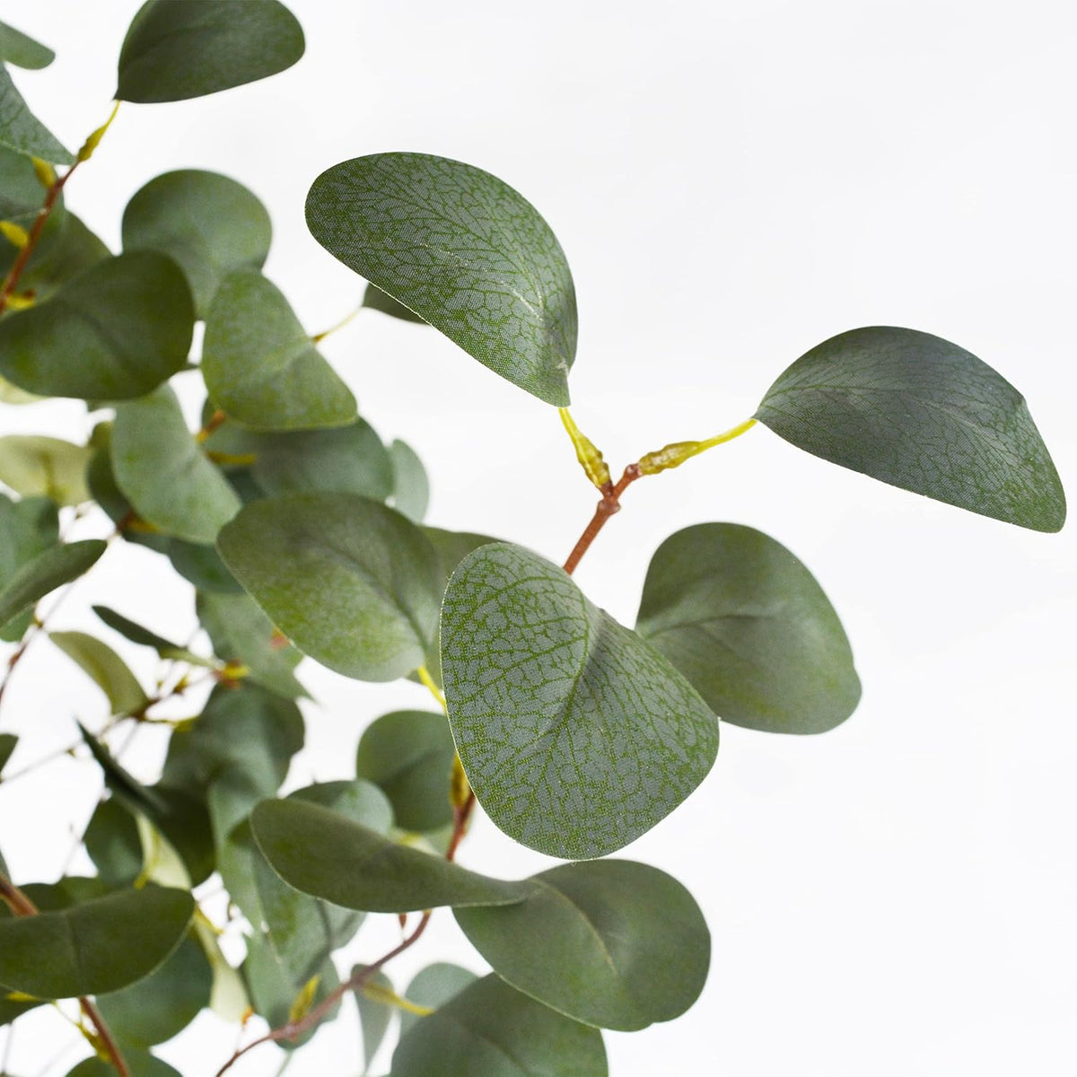 Artificial Eucalyptus Tree, 6ft Tall Fake Eucalyptus Plant with Basket, Green Silver Dollars Silk