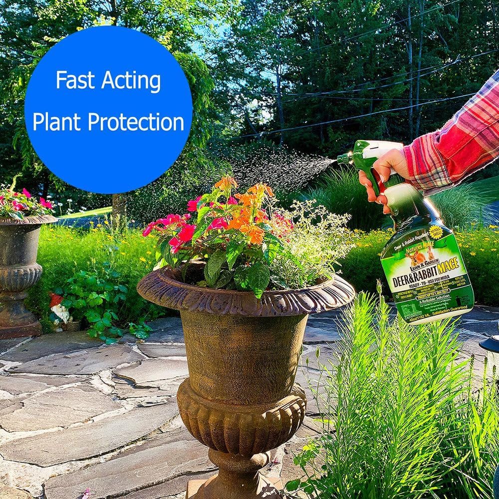 Nature’s MACE Deer and Rabbit Mace, Deer Repellent for Plants, Lawns, Flowers, Gardens, Deer