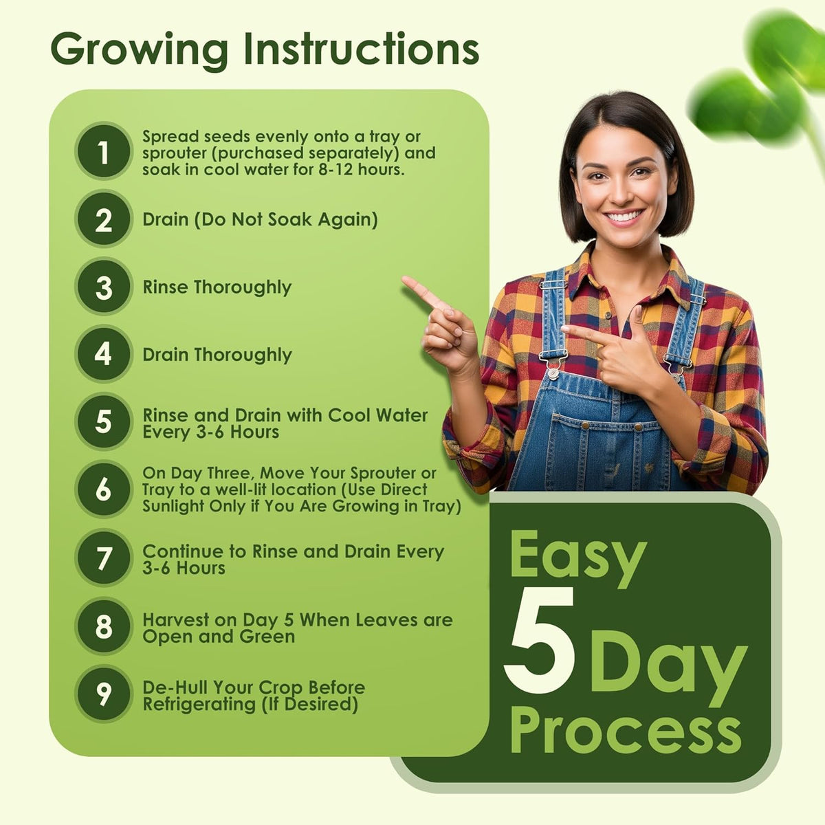 Nature Jims Sprouts Organic Broccoli Seeds for Sprouting – Certified Non-GMO, Rich in Sulforaphane