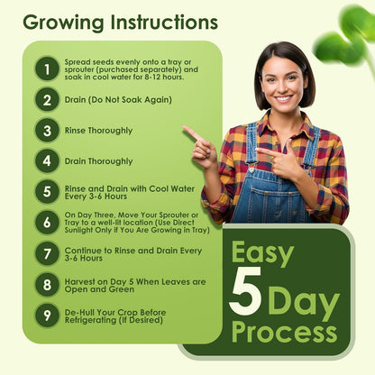 Nature Jims Sprouts Organic Broccoli Seeds for Sprouting – Certified Non-GMO, Rich in Sulforaphane