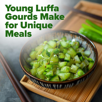 HOME GROWN Luffa Seeds 2 Pack(Luffa aegyptiaca)80 Heirloom 𝗡𝗢𝗡-𝗚𝗠𝗢,𝗨𝗦𝗔-𝗦𝗢𝗨𝗥𝗖𝗘𝗗