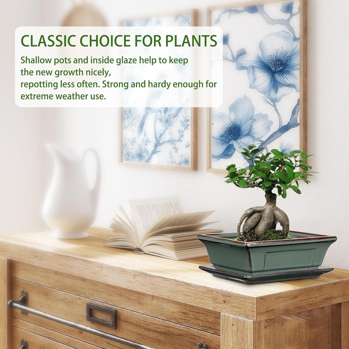 Ceramic Bonsai Pots with Drainage Trays Set of 2, Green Glazed Bonsai Planters for Indoor/Outdoor