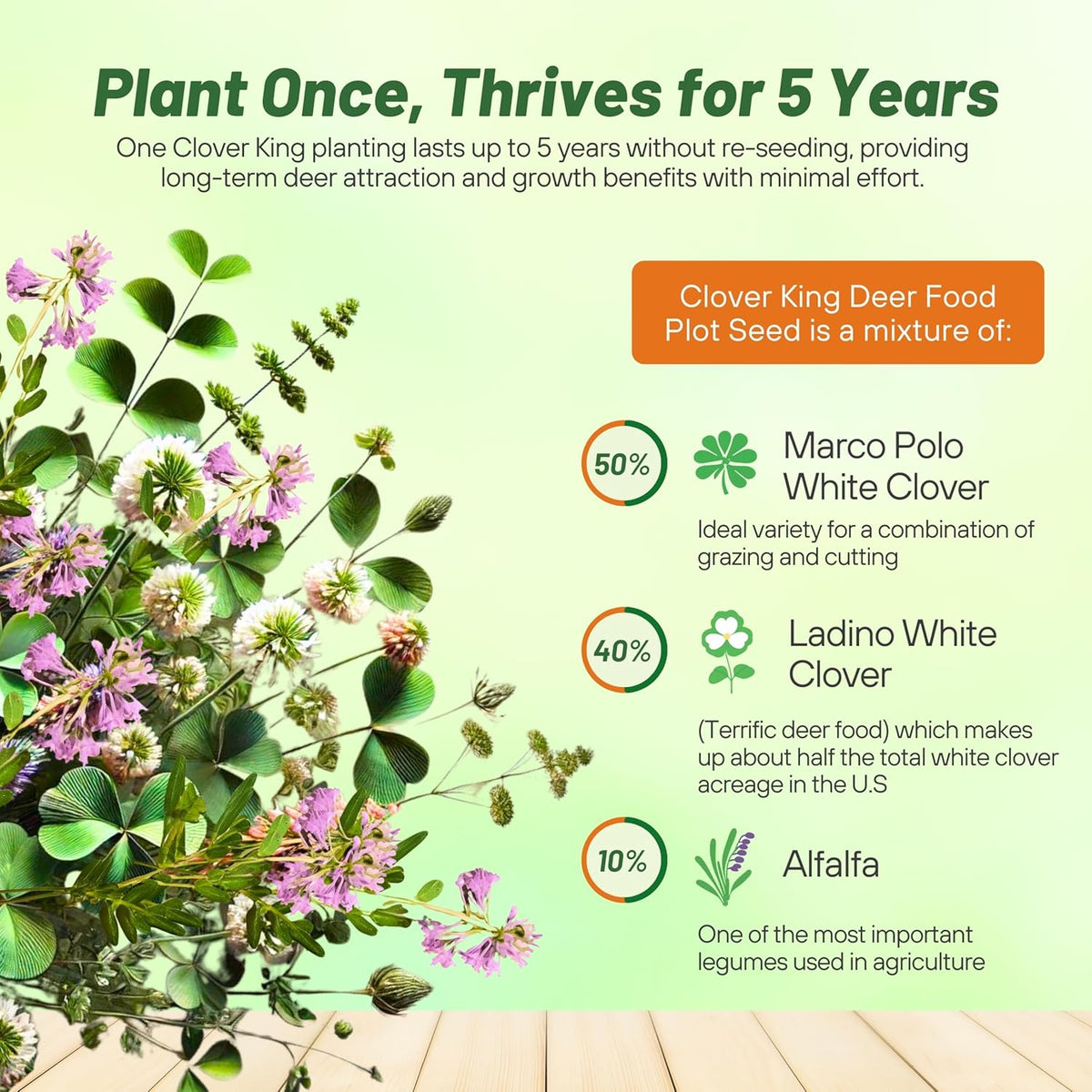 Outsidepride Perennial Clover King Seed Mix - 5 lbs Nitrocoated, Inoculated, Heat & Cold Tolerant
