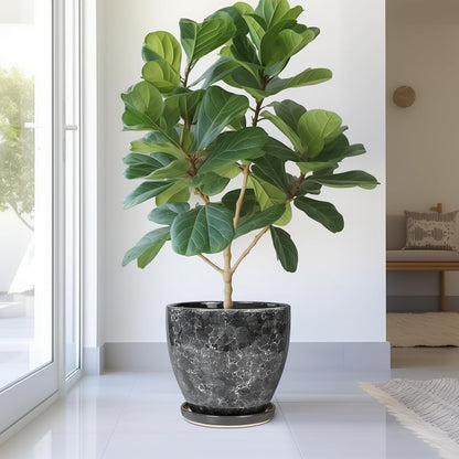 Ceramic Pots for Plants - 10 Inch Planter for Indoor Outdoor, Decorative Round Flower Pot with