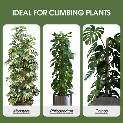 Moss Pole, 63 Inch Bendable Moss Pole for Plants Monstera, Moss Poles for Climbing Plants, Handmade