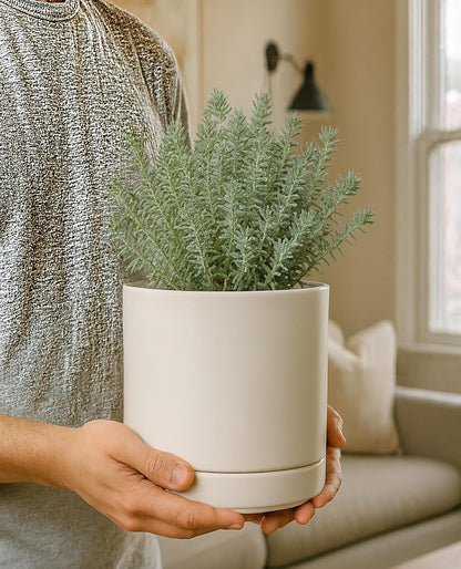 D'vine Dev 6.5 Inch Ceramic Planter Pot with Drainage Hole and Saucer, Indoor Cylinder Round