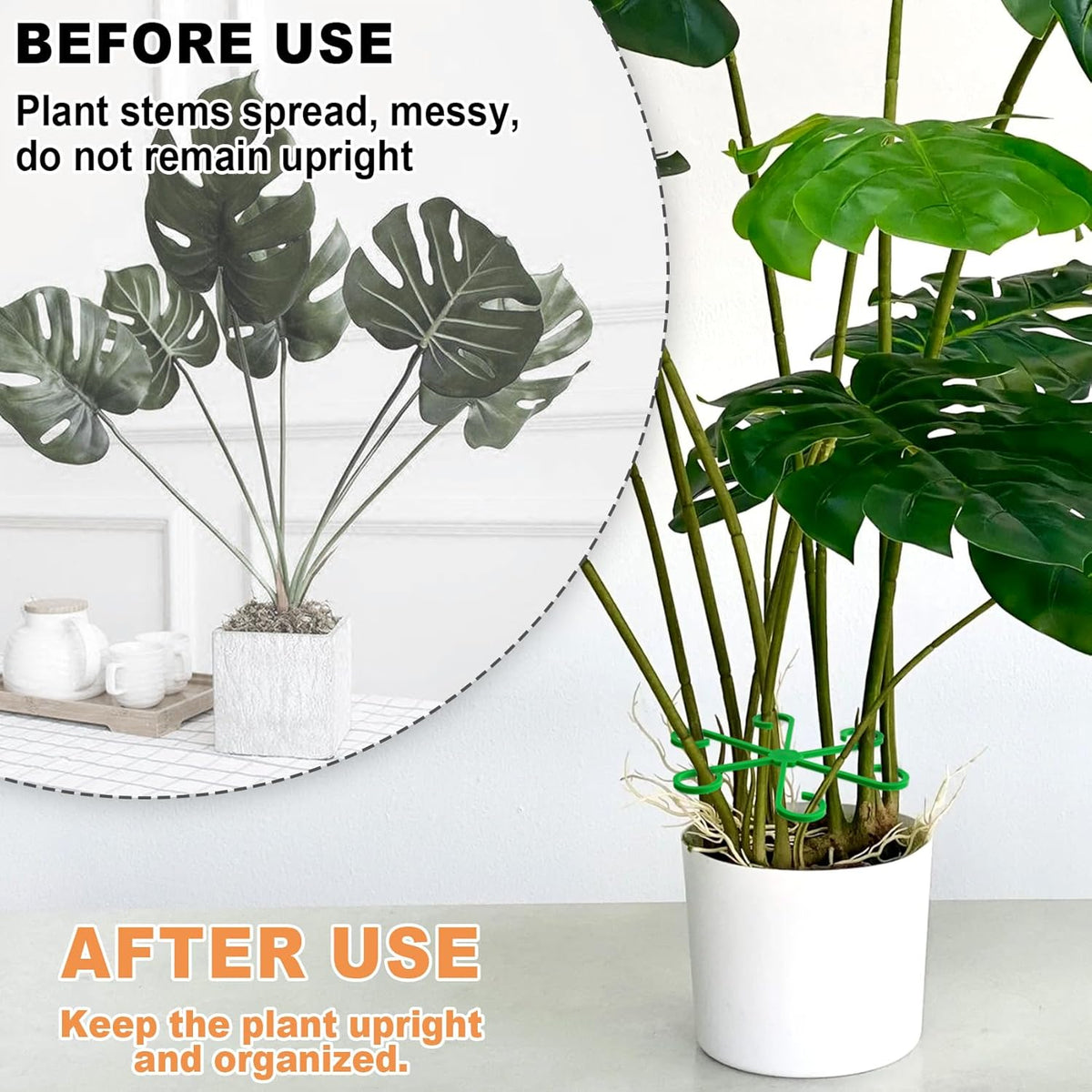 8PCS Plant Stem Support, 4 Sizes Climbing Houseplant Stem Holders, Plastic Reusable Flower Trellis