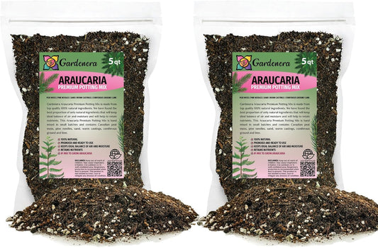 GARDENERA Premium Araucaria Potting Soil Mix - Perfect Balance of Nutrients, Drainage, and Aeration