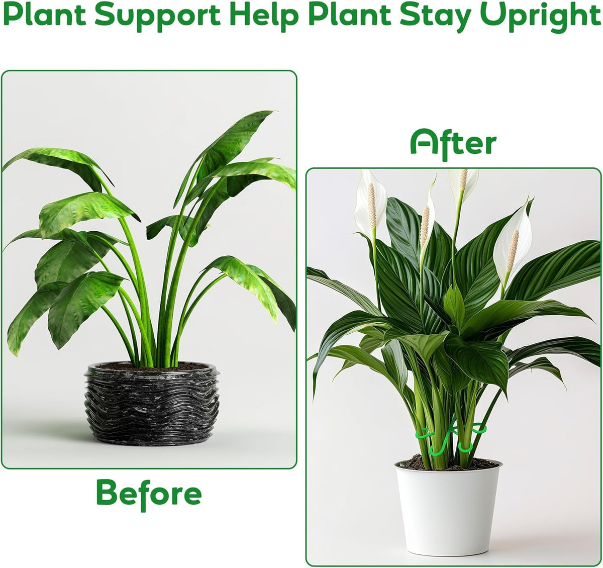 Plant Stem Support Set, 8Pcs 4 Sizes Plant Trellis Rings for Climbing Plants Indoor, Support Holder